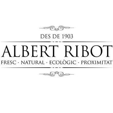 Albert Ribot
